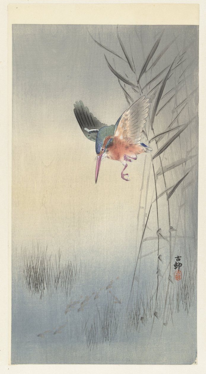 Martim-pescador à caça de peixe (xilogravura a cores) de Ohara Koson