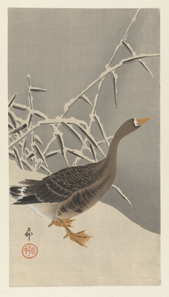 Ganso-de-testa-branca na neve de Ohara Koson