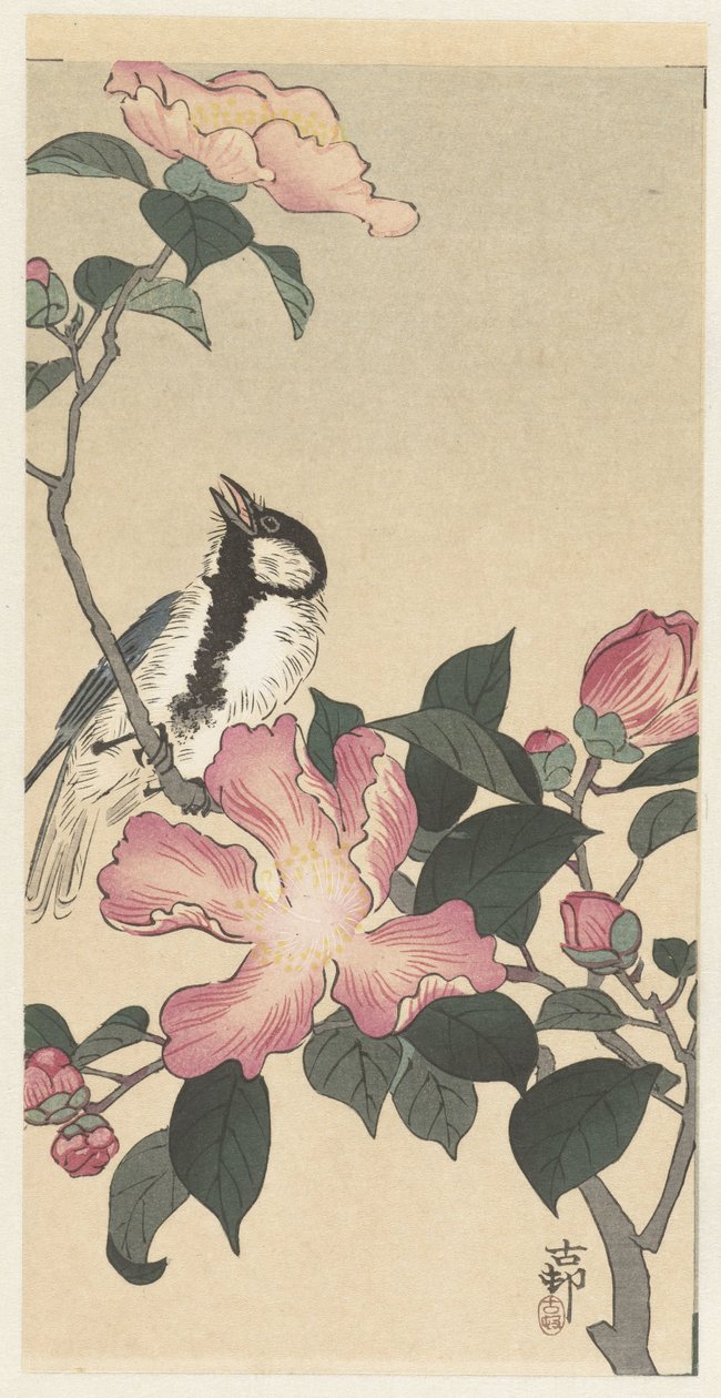 Grande teta em ramo com flores cor-de-rosa de Ohara Koson