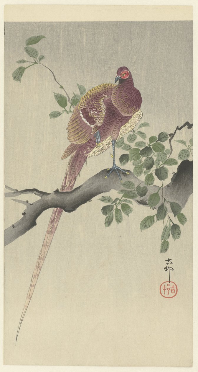 coperfazente de Ohara Koson