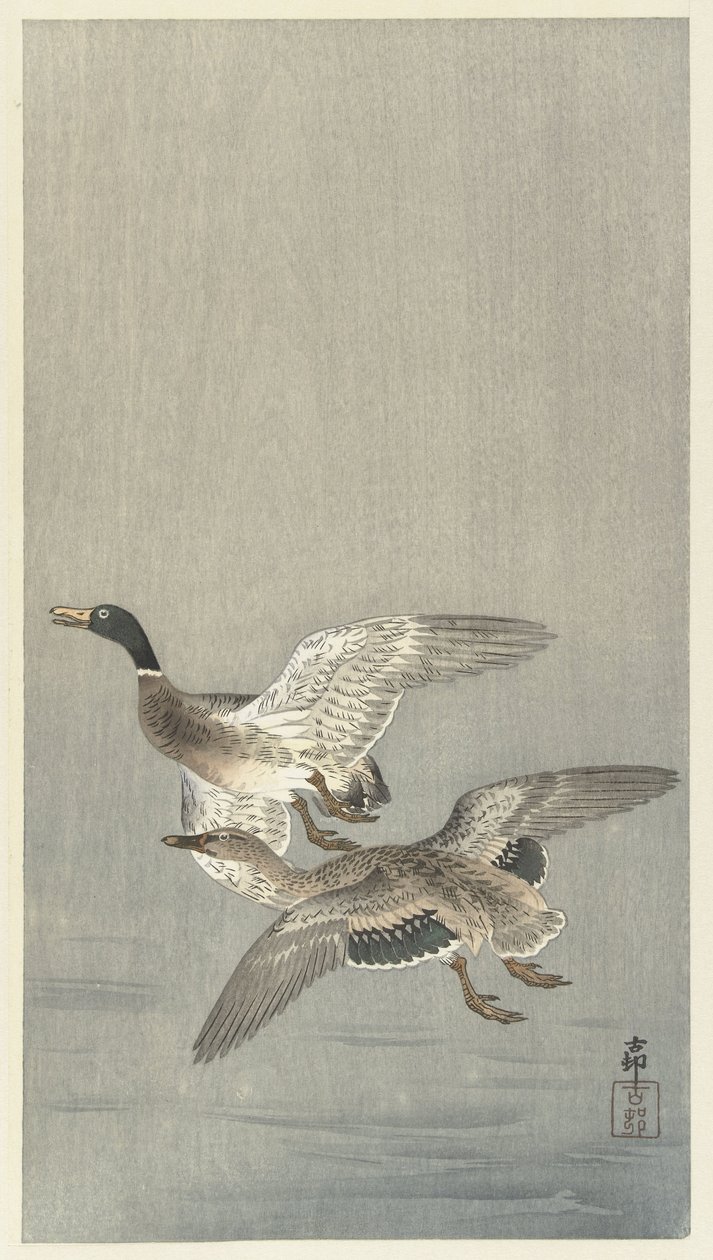 Par de patos de Ohara Koson