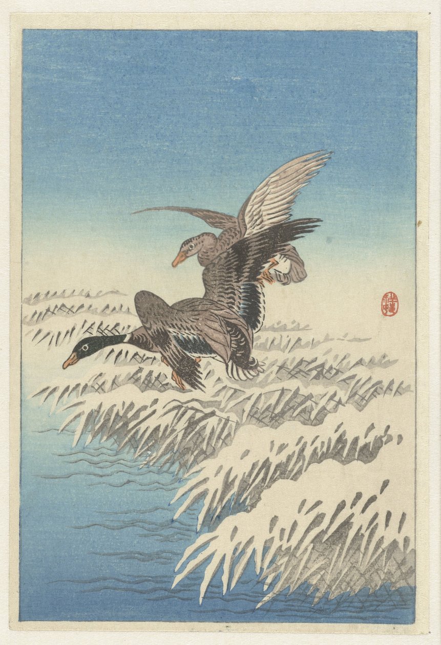 Par de patos voando por cima de canaviais nevados de Ohara Koson