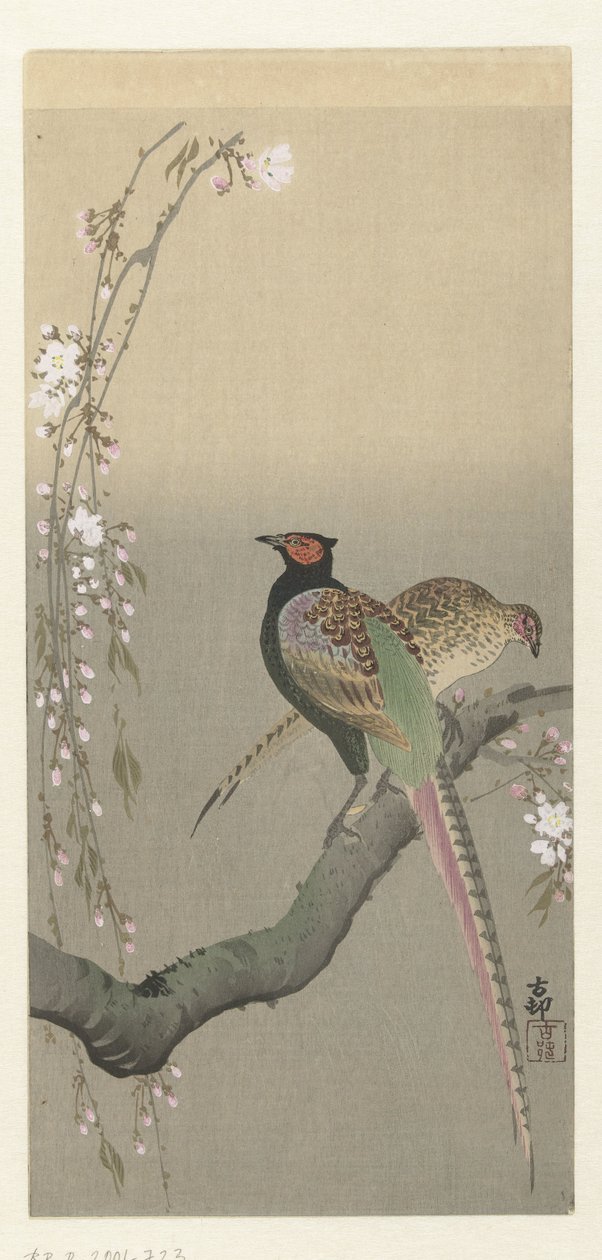 Casal de faisões e flores de cerejeira de Ohara Koson