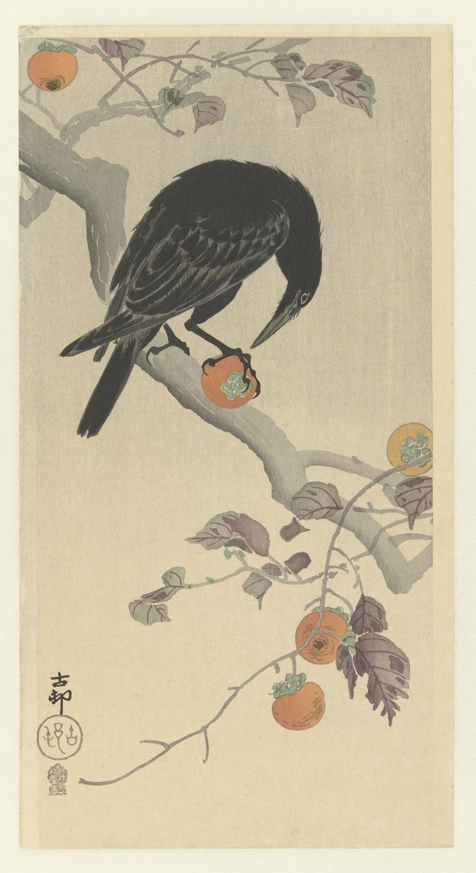 Corvo com caquis de Ohara Koson