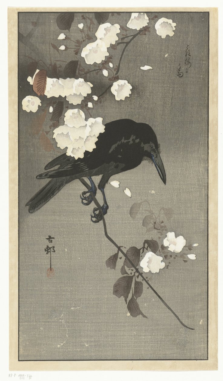 Corvo com flor de cerejeira Hana sakura no tori (título no objeto) de Ohara Koson