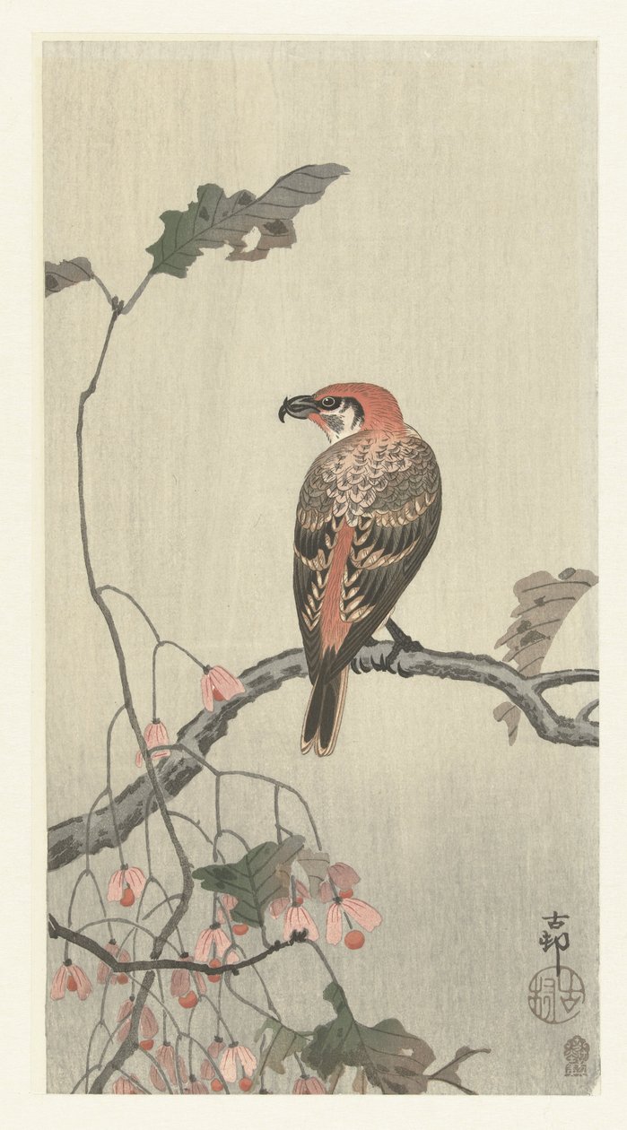 Crossbill sobre ramo de árvore de Ohara Koson