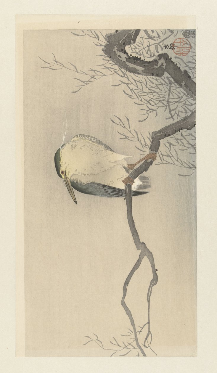 Quack em ramo errático. de Ohara Koson