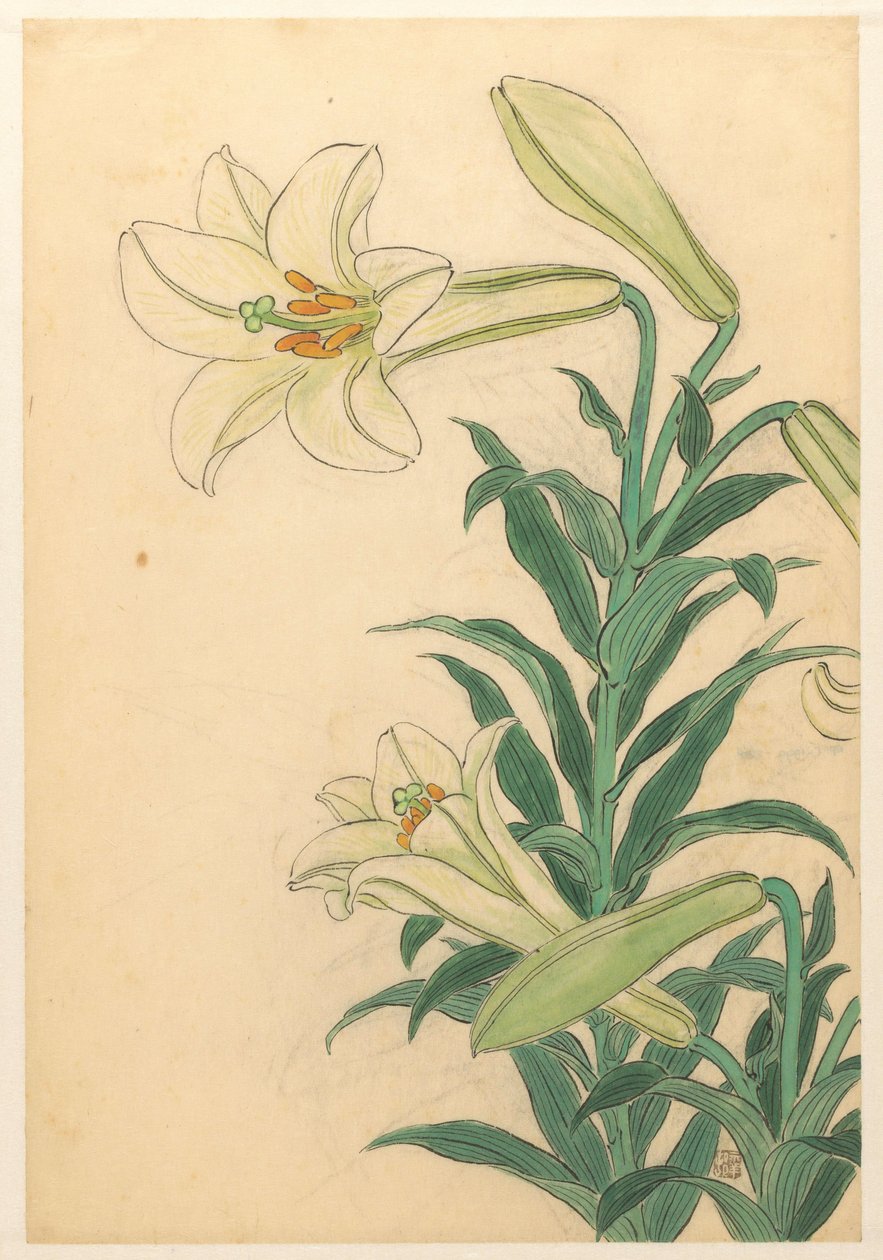 Lírios Teppoyuri de Ohara Koson