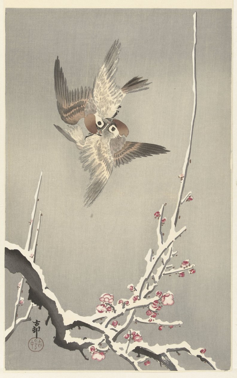 Pardais e árvore de ameixa nevado de Ohara Koson