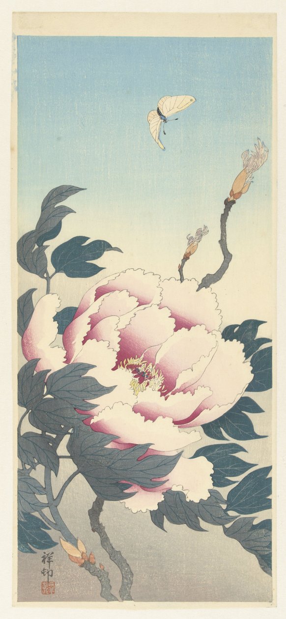 Peónia e uma borboleta de Ohara Koson