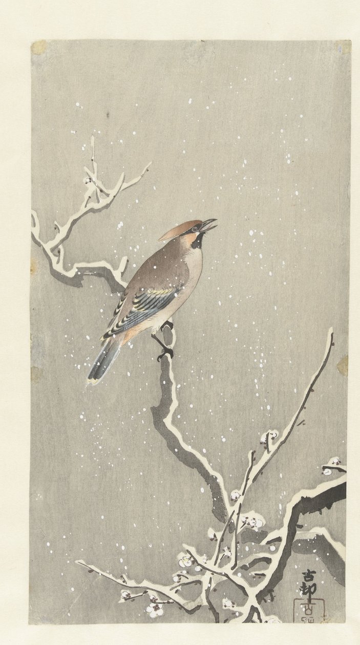 Waxwing em ramo nevado de Ohara Koson