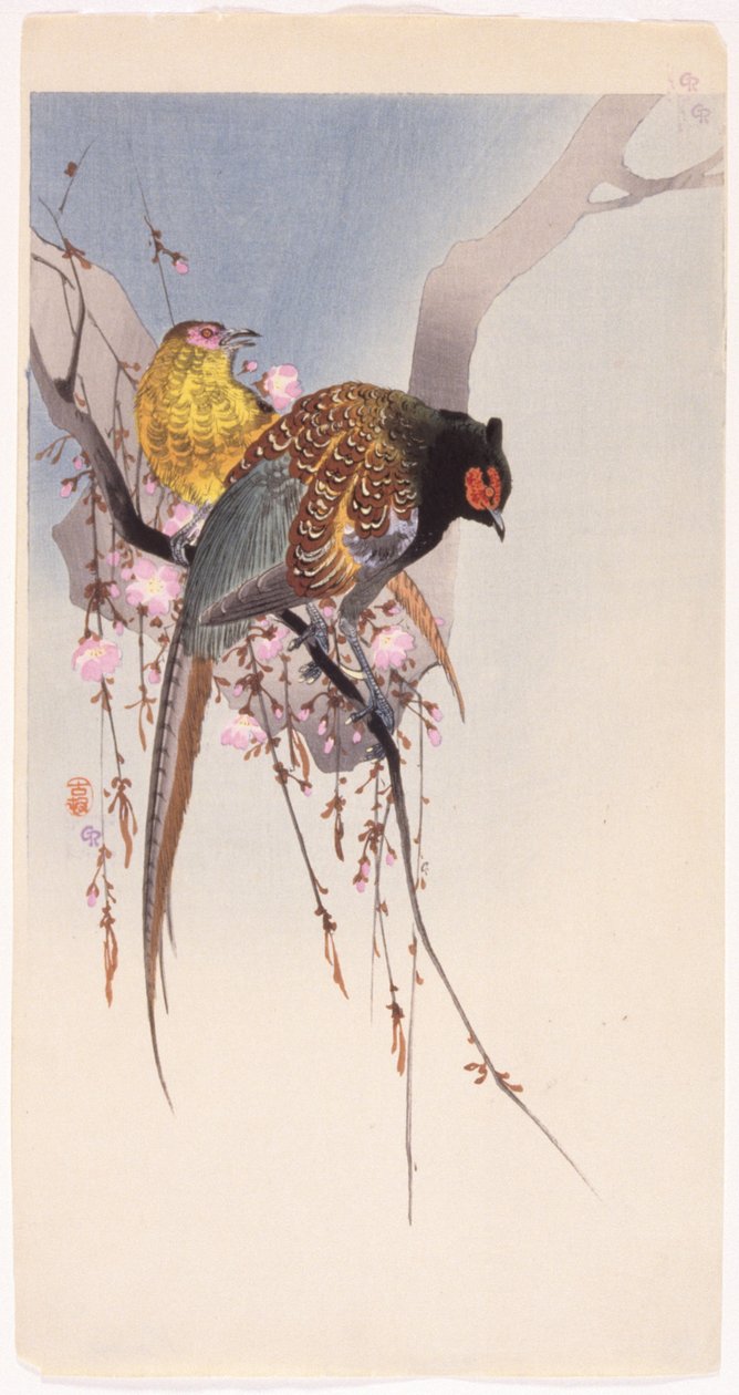 Faisões E Hanging-Cherry (impressão em bloco de madeira a cores) de Ohara Koson