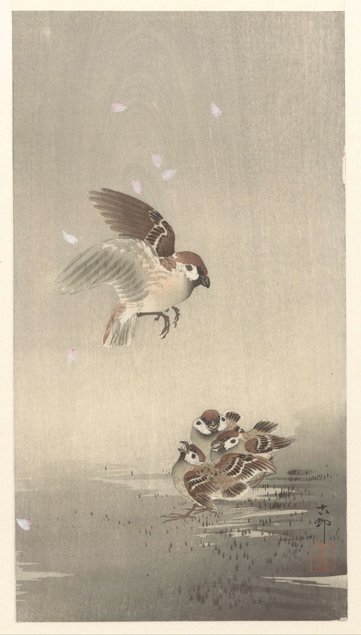 Pardal anelado com jovens de Ohara Koson