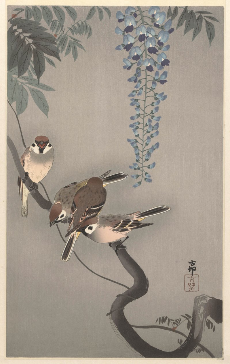 Pardais de anel em glicínias de Ohara Koson