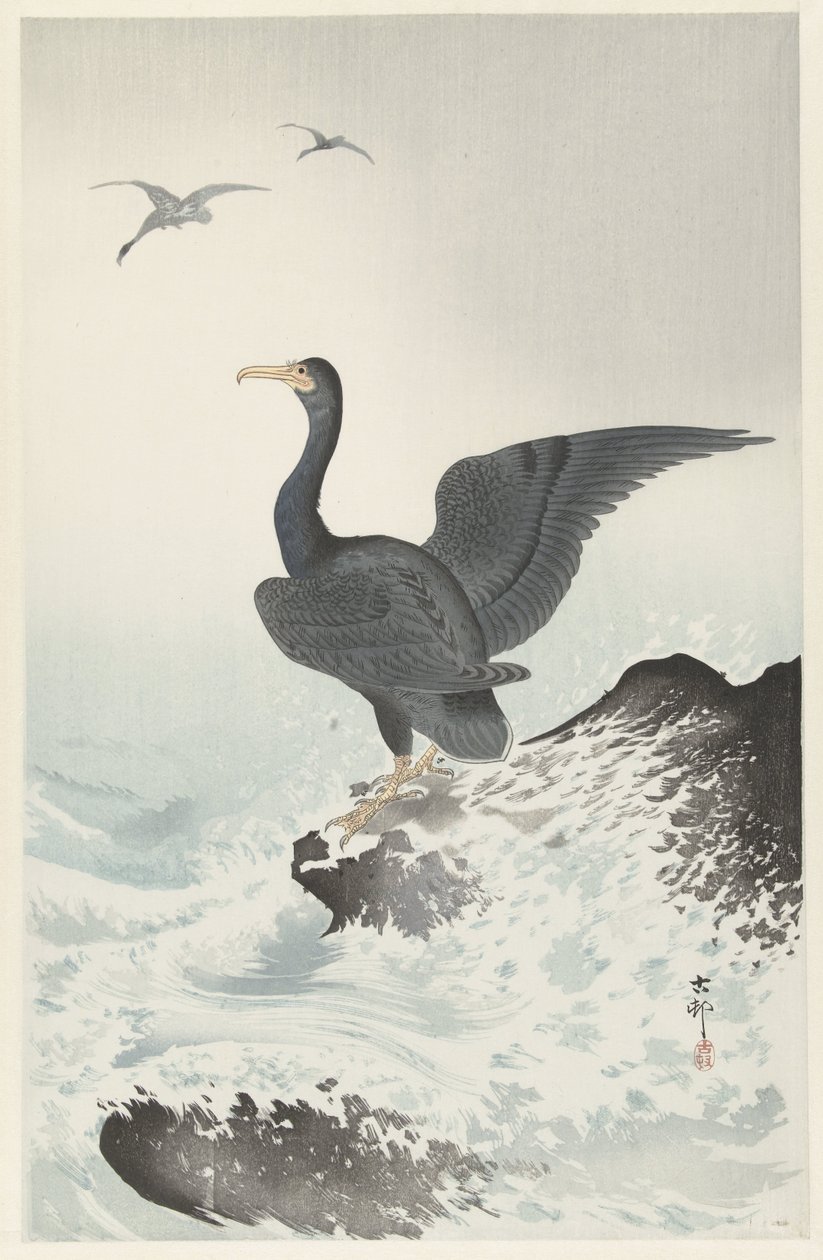 Cormorant de máscara vermelha na rocha de Ohara Koson