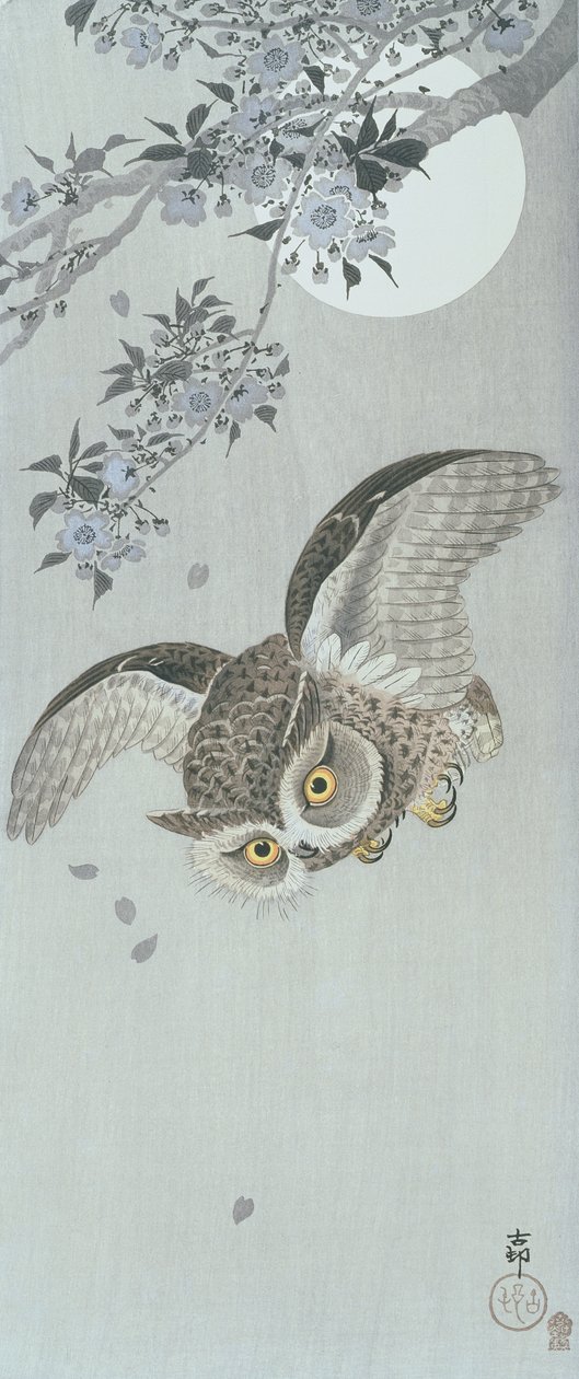 Coruja em vôo com flor e lua cheia (impressão em bloco de madeira colorida) de Ohara Koson