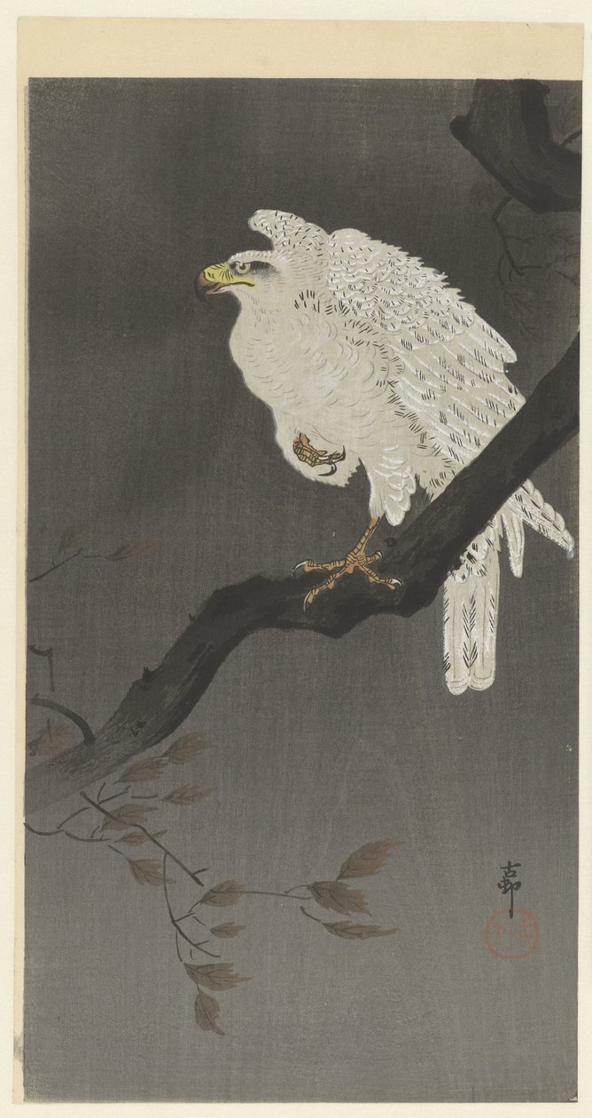 Águia nevada em um galho de árvore de Ohara Koson