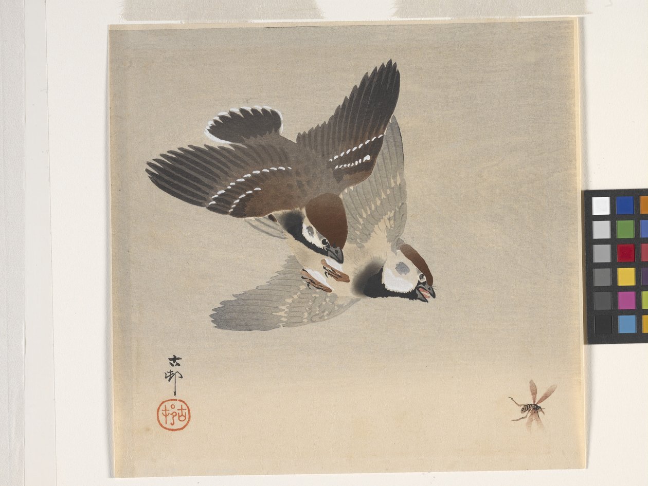Sparrows Chasing Flying Insect (impressão em bloco de madeira a cores) de Ohara Koson