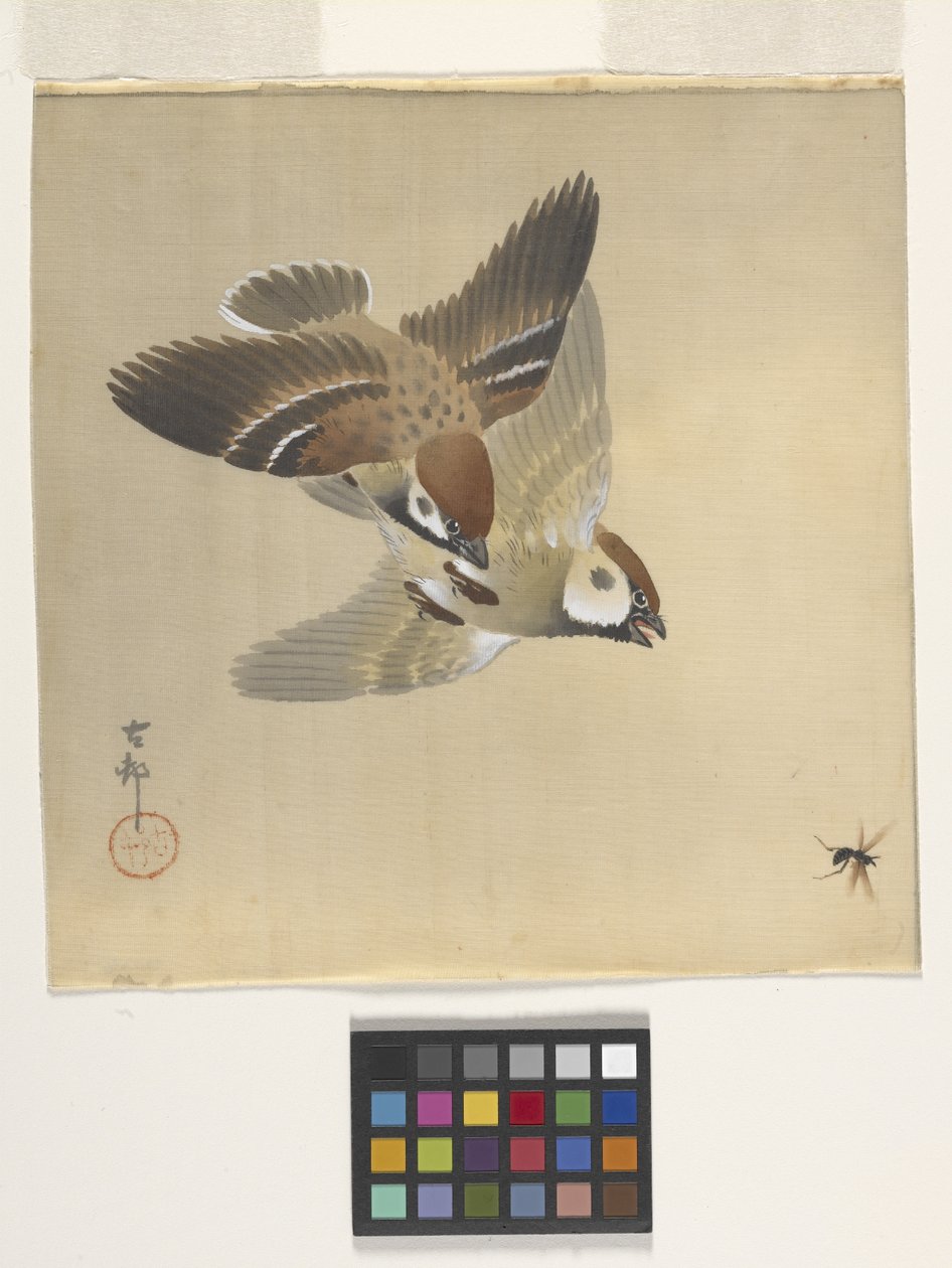 Pardais que perseguem insectos voadores (tinta e cor na seda) de Ohara Koson
