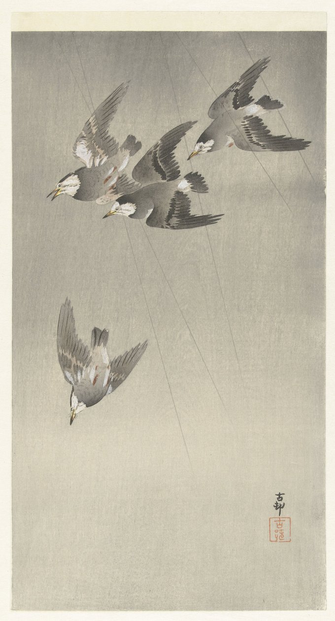 Starling na chuva de Ohara Koson