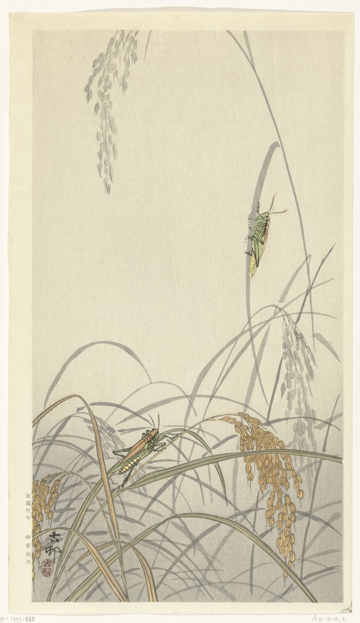 Gafanhotos em plantas de arroz de Ohara Koson