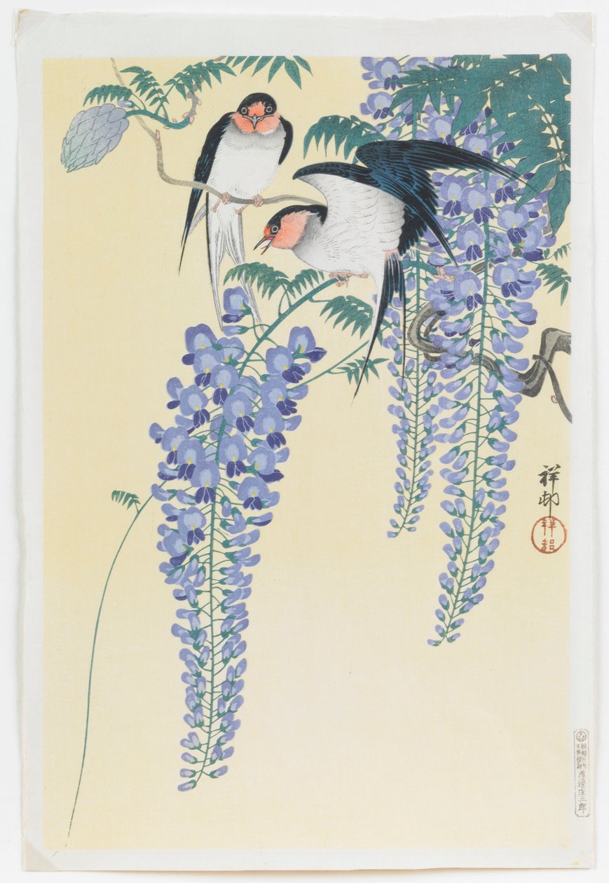Andorinhas e Wisteria de Ohara Koson