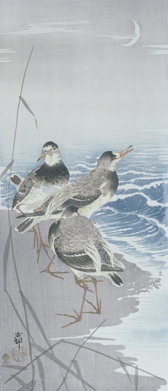 Três tubos de areia à beira-mar em frente aos canaviais (impressão a cores de bloco de madeira) de Ohara Koson