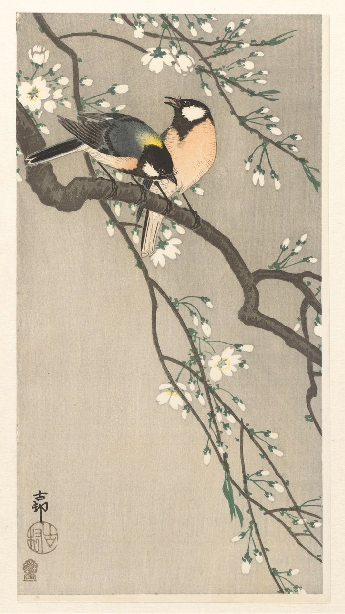 Mamas no ramo de cereja de Ohara Koson