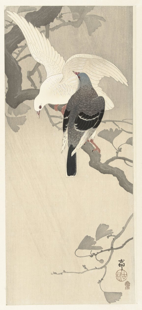 Dois pombos em um galho de Ohara Koson