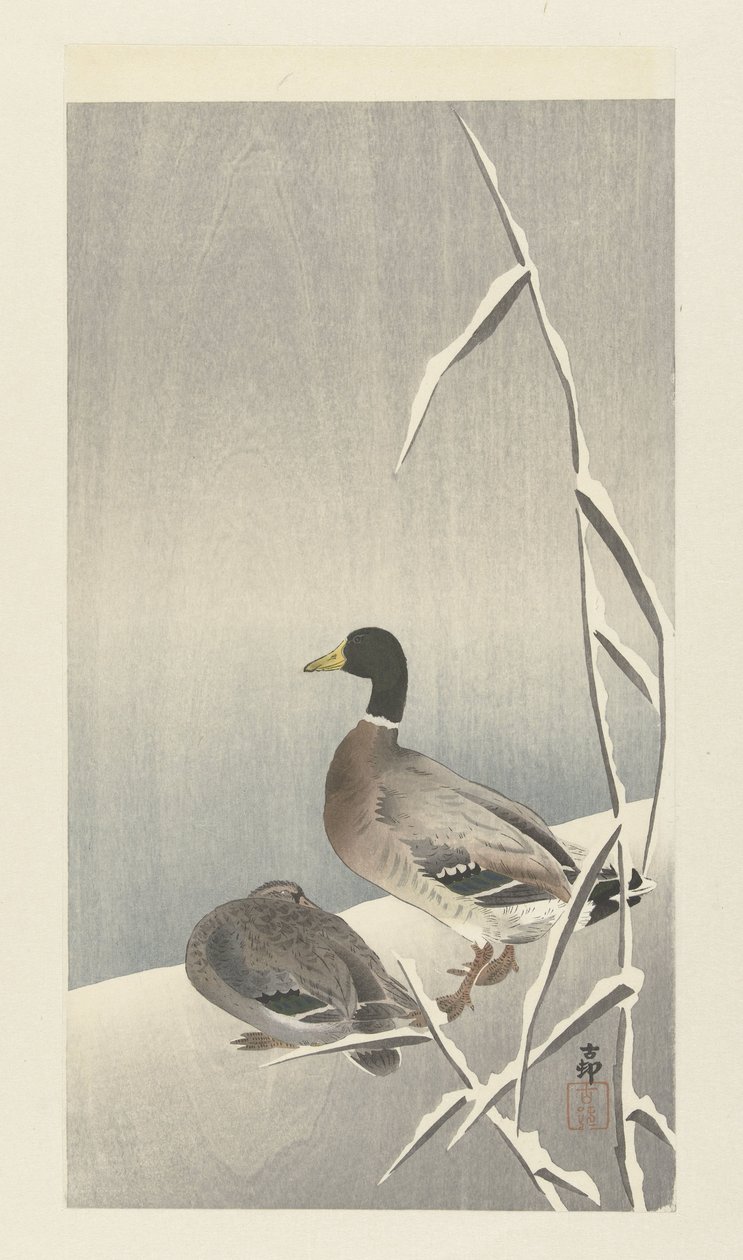 Dois patos em cobertura de cana com neve de Ohara Koson