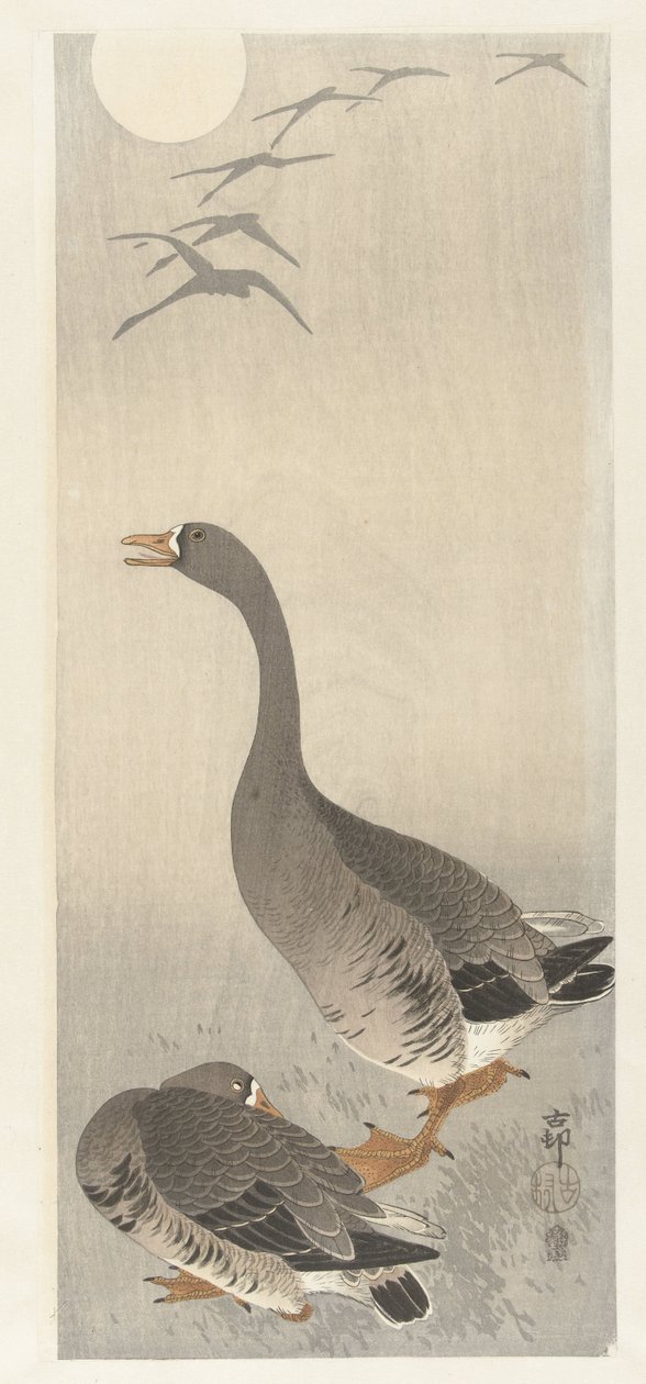 Dois inteiros de Ohara Koson