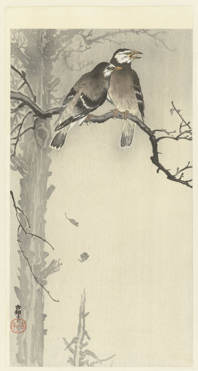 Dois estorninhos cinzentos de Ohara Koson