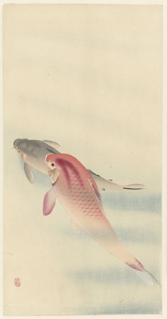 Duas carpas de Ohara Koson