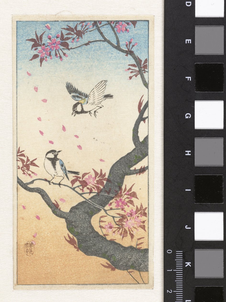 Dois grandes peitos em uma árvore florescendo de Ohara Koson