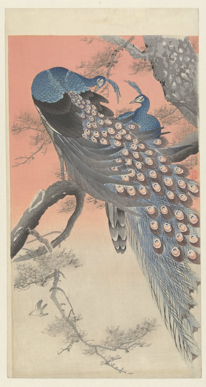 Dois pavões no galho de árvore de Ohara Koson