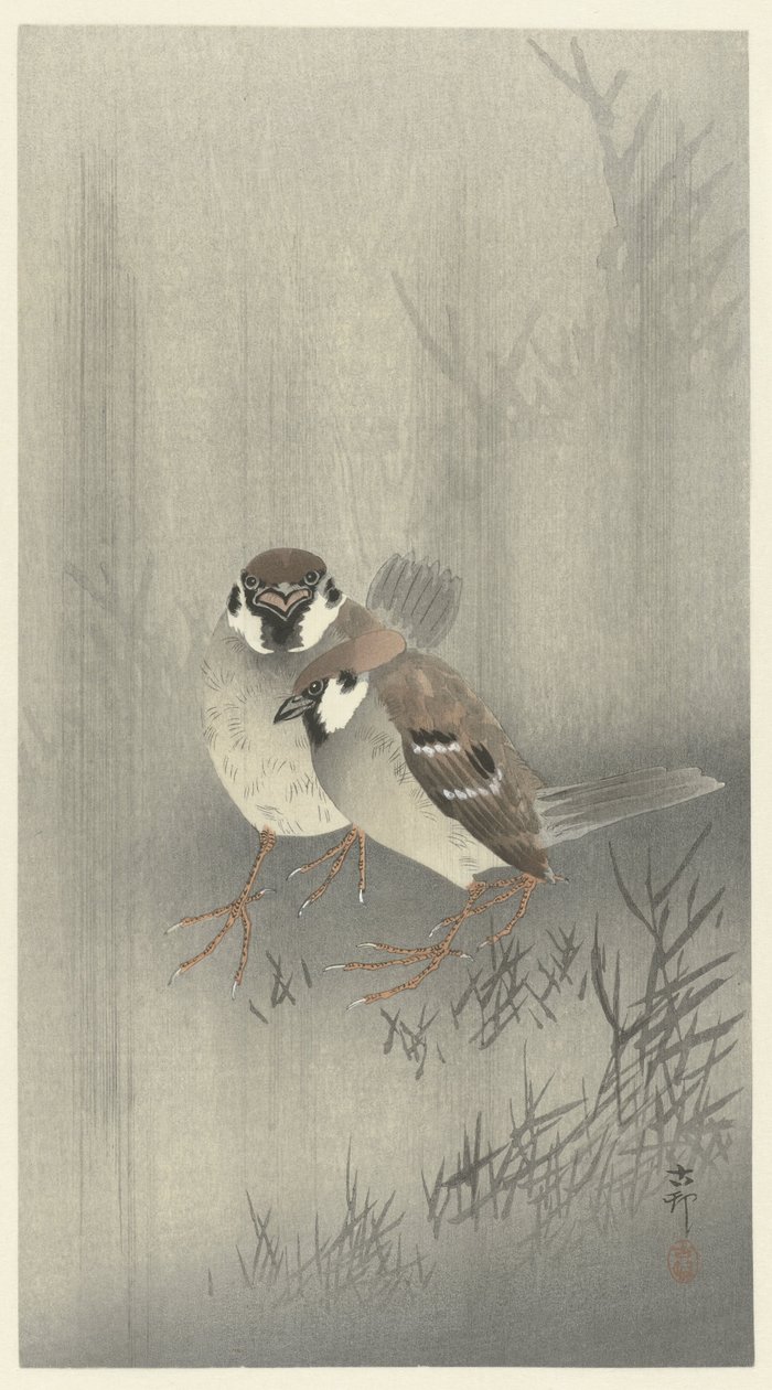 Dois pardais na chuva de Ohara Koson