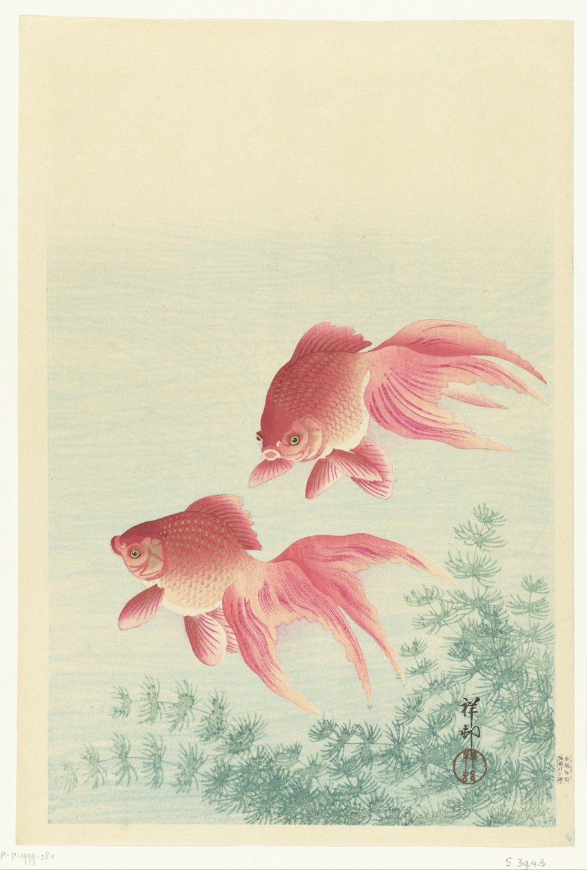 Peixe dourado de cauda de dois véus de Ohara Koson