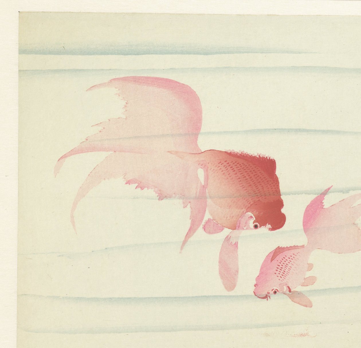 Dois rabos de véu de Ohara Koson
