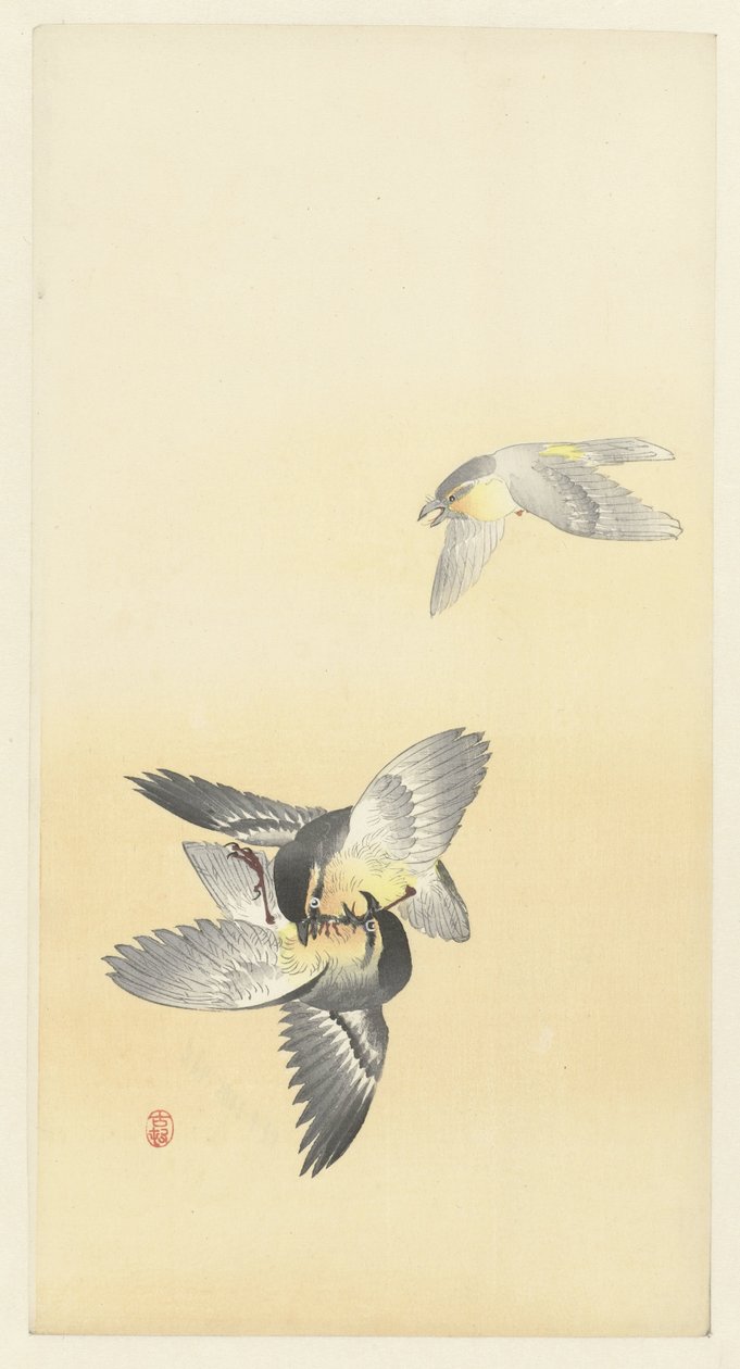 Duas aves de combate de Ohara Koson