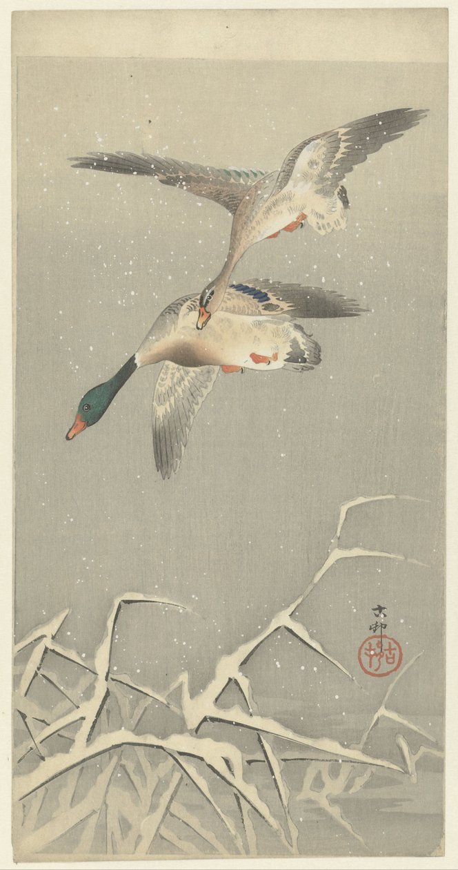 Dois patos selvagens em voo de Ohara Koson