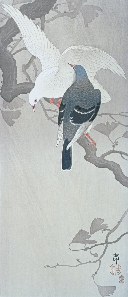Duas pombas na chuva num ramo de uma árvore Ginko de Ohara Koson