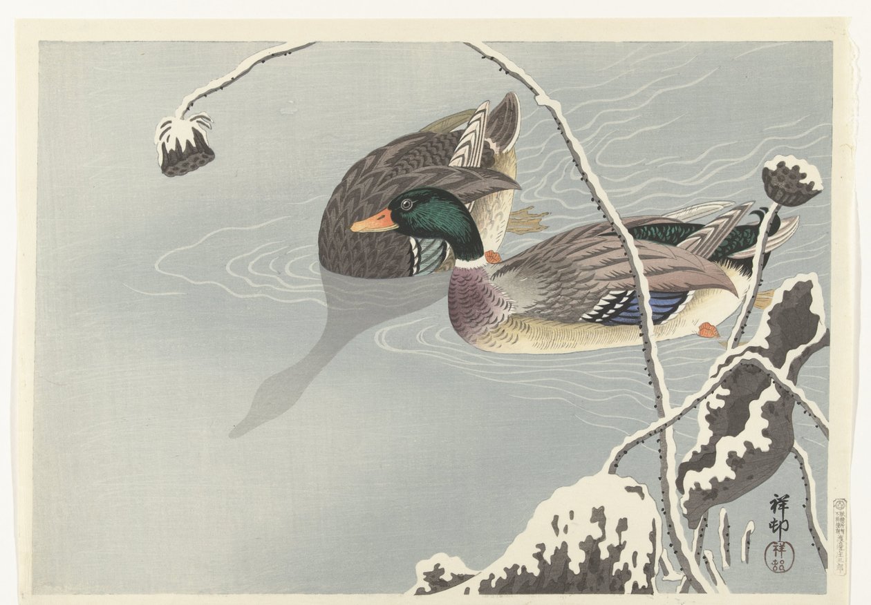 Dois Mallards perto de um Lotus coberto de neve de Ohara Koson