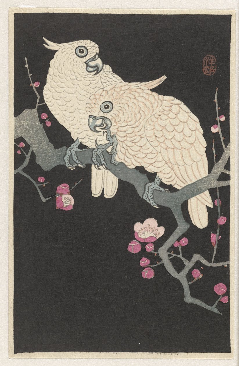 Duas catatuas e flores de ameixa de Ohara Koson