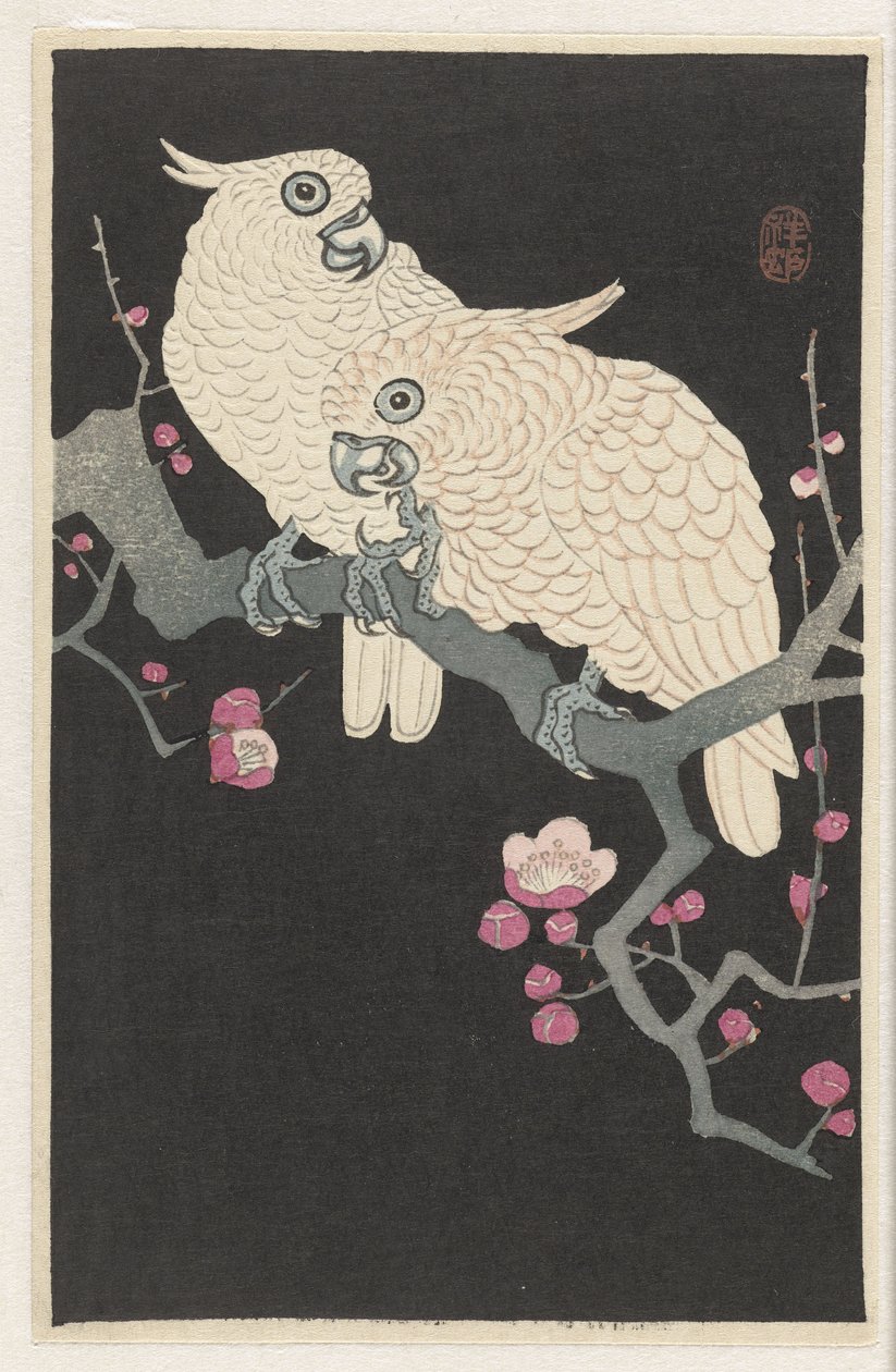 Duas catatuas e uma flor de ameixoeira de Ohara Koson