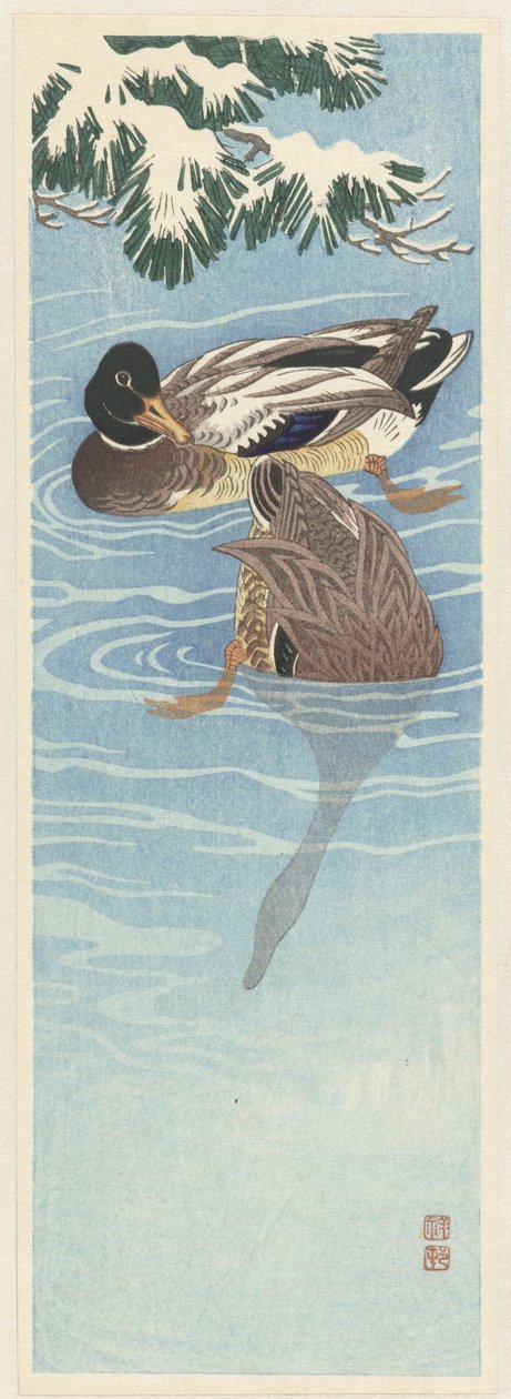 Dois patos selvagens na água de Ohara Koson