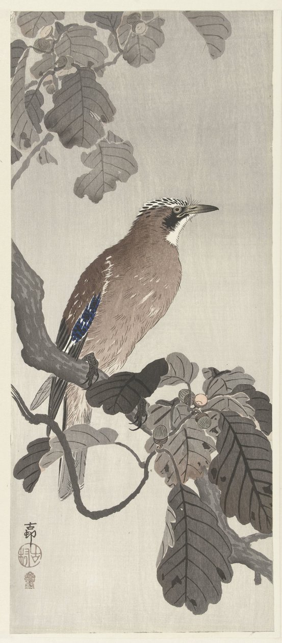 Gaio flamengo no galho de árvore de Ohara Koson