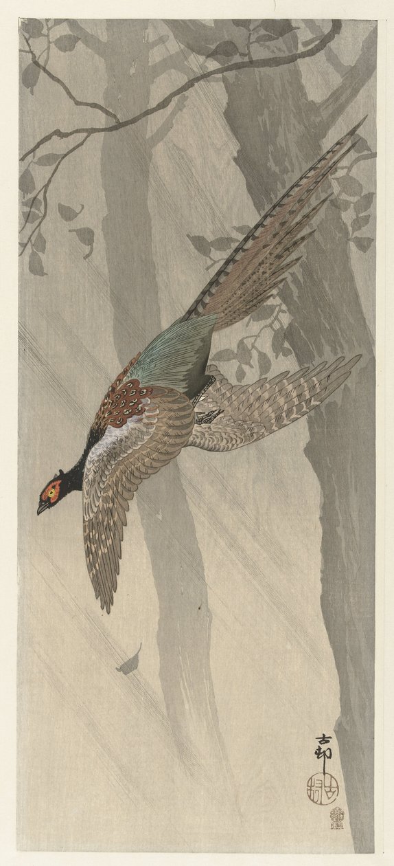 Faisão voador de Ohara Koson