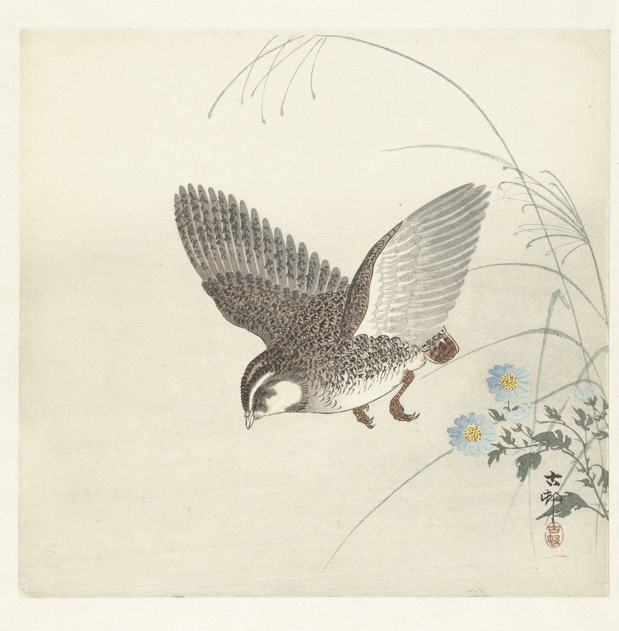 codorna voadora de Ohara Koson