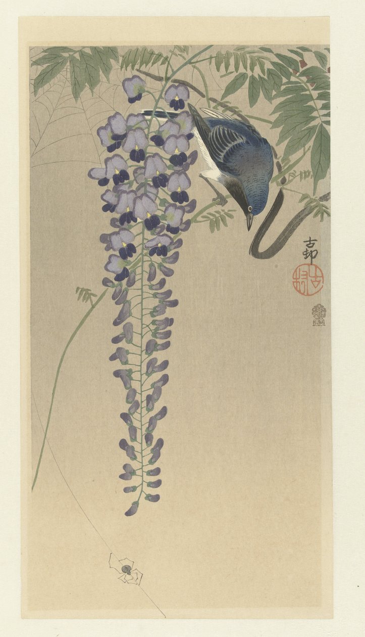 Apanhador de moscas em wisteria de Ohara Koson
