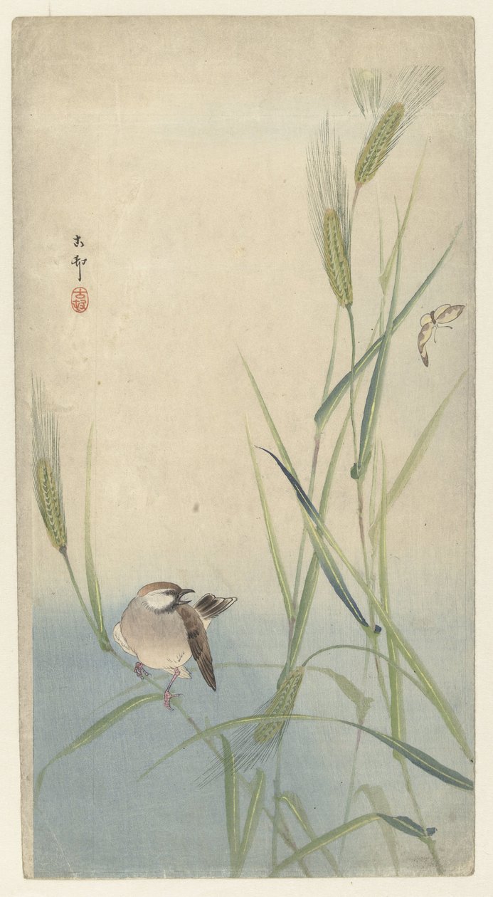 pássaro e borboleta de Ohara Koson